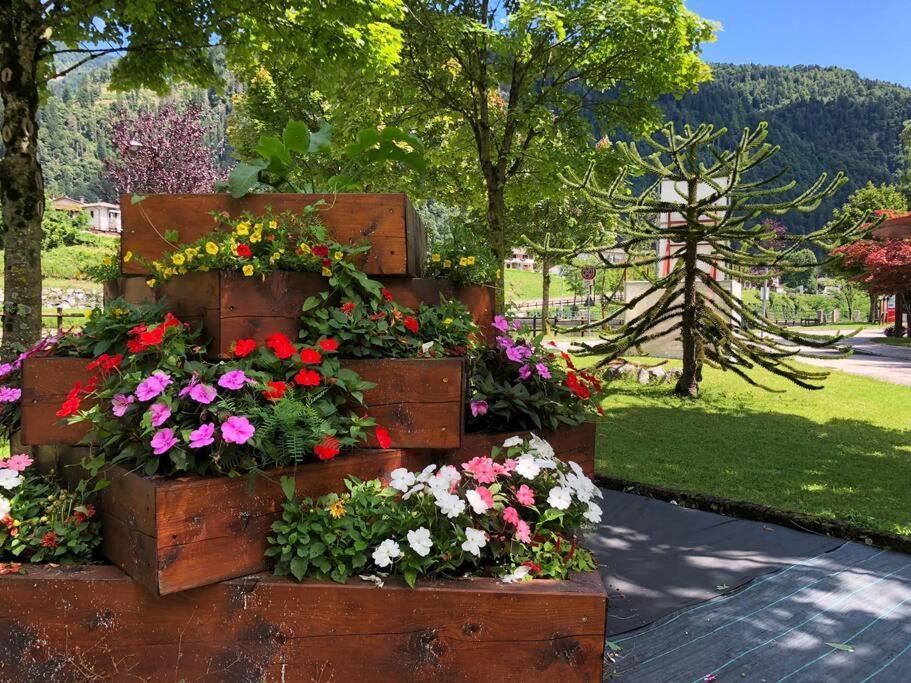 Holiday Guesthouse La Casina Di Butzi Pet Friendly - Terme Di Arta - Zoncolan Арта-Терме Екстер'єр фото