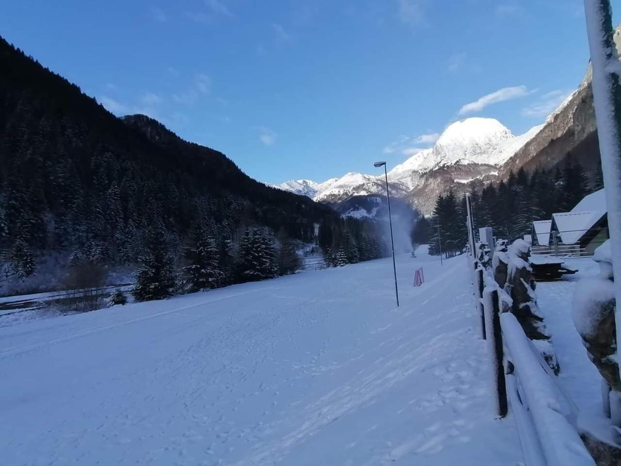 Holiday Guesthouse La Casina Di Butzi Pet Friendly - Terme Di Arta - Zoncolan Арта-Терме Екстер'єр фото